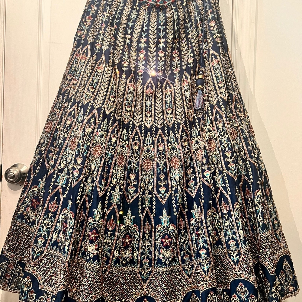 Desi Dress/ Gown/ Lehenga - Picture 6 of 9